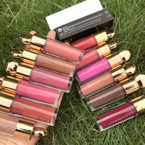 20 Colors Custom Private Label Matte Liquid Lipstick